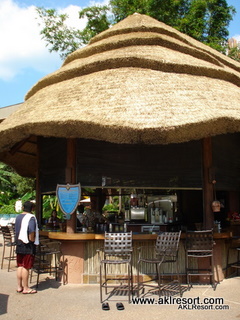 Pool bar 1